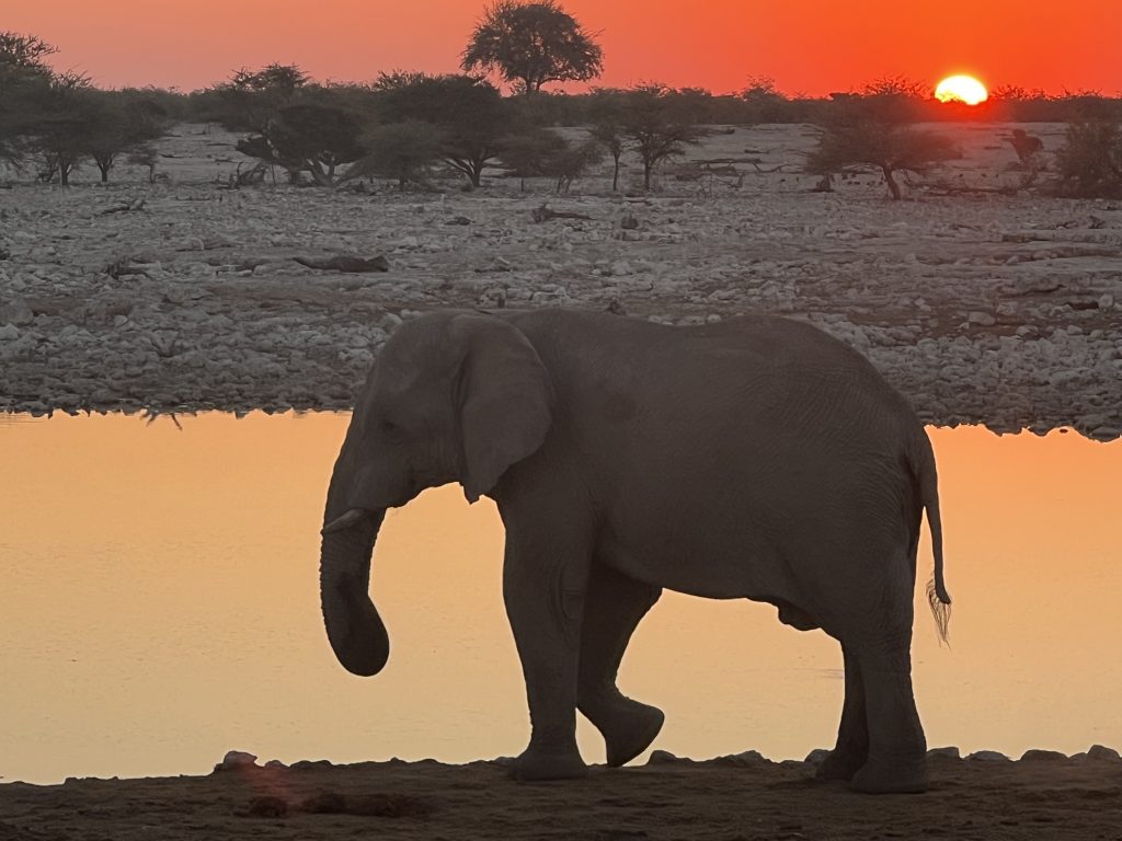 Etosha 4