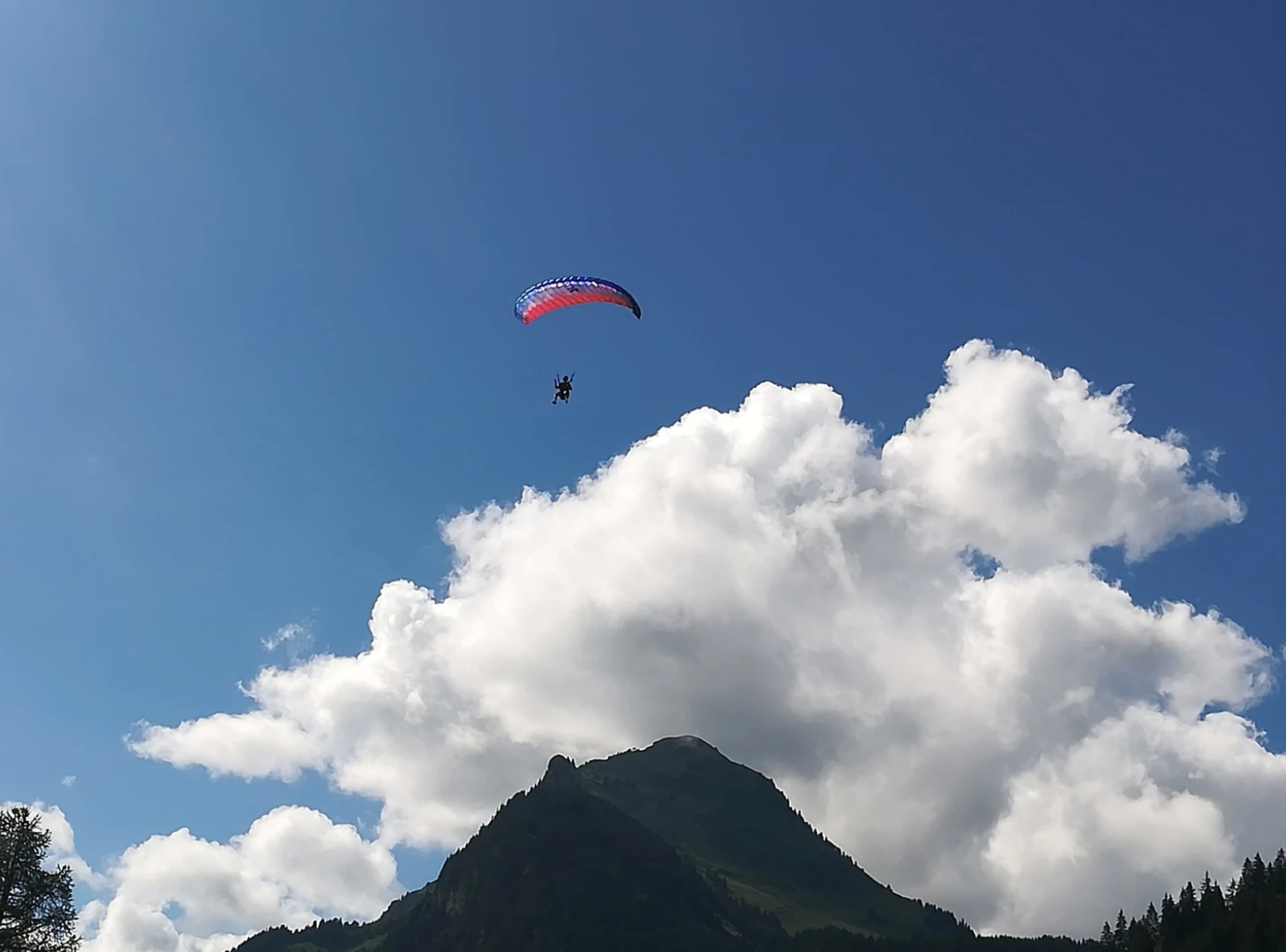 Paragliding Holiday France SP