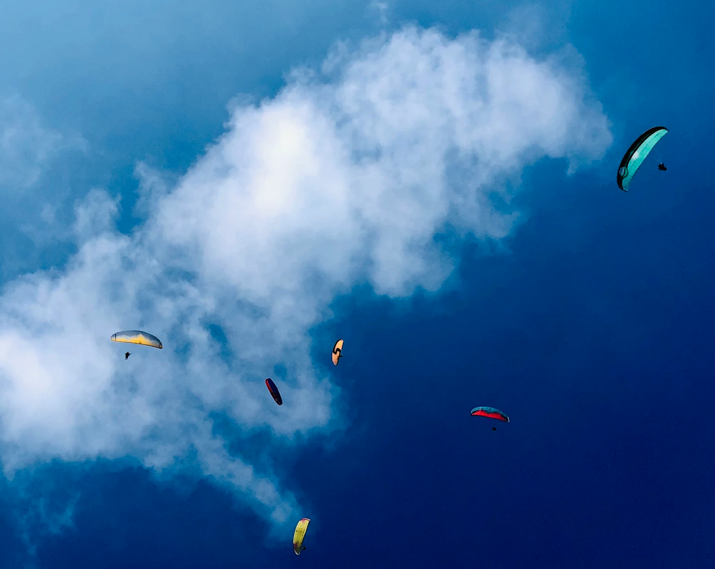 Paragliding Holiday Nepal SP