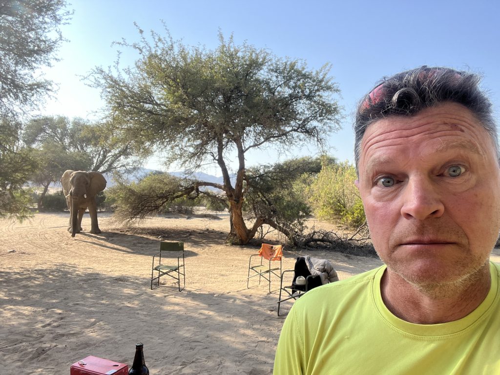 Puros Elephant 3