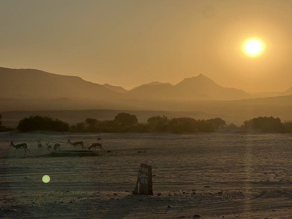 Puros Sunset
