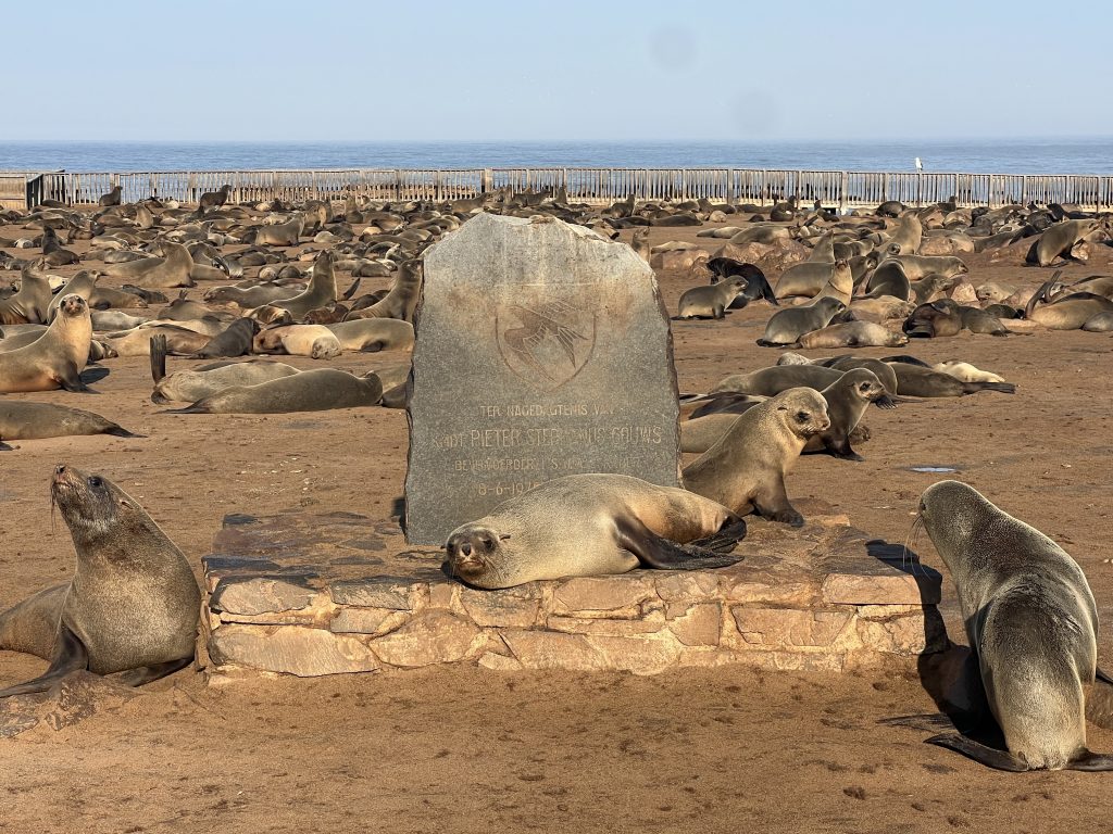 Seals 1